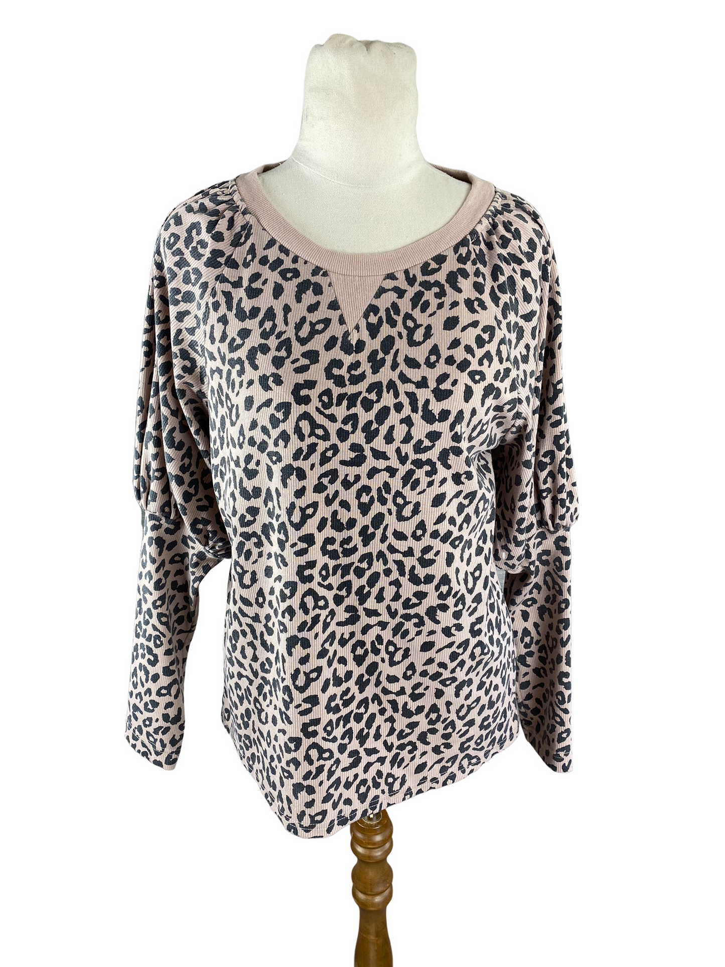 Charlo leopard print long sleeve top | size 10