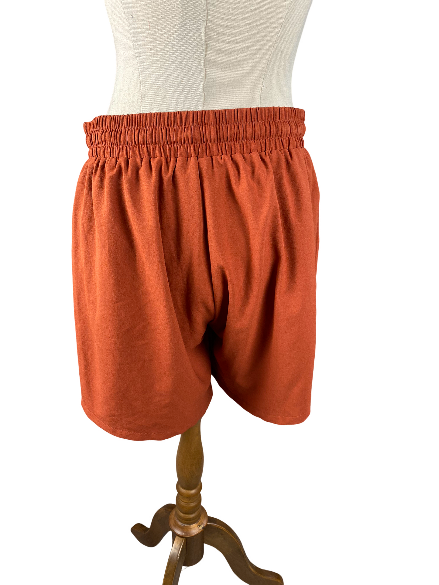 Pretty Basic Augustine shorts | size 12